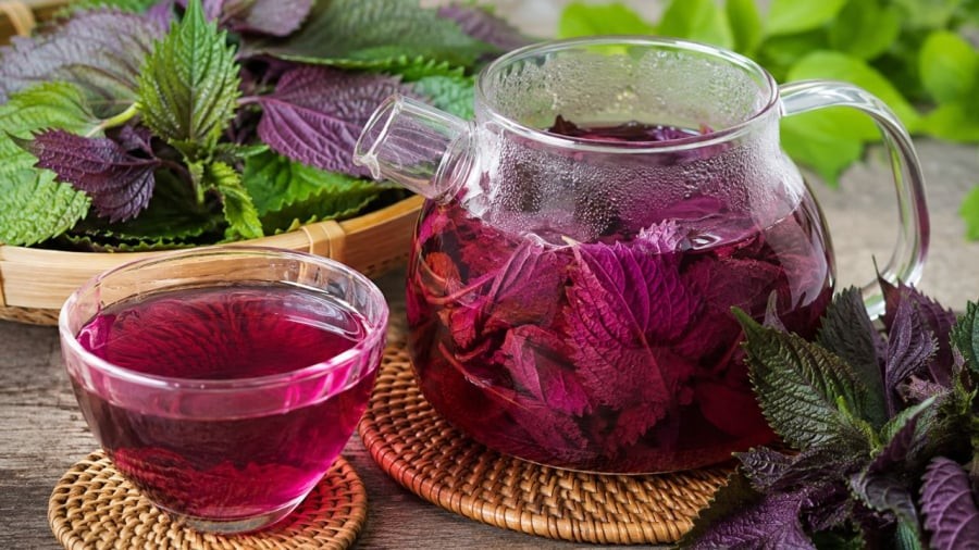 Nước tía tô không phải nấu càng lâu càng tốt