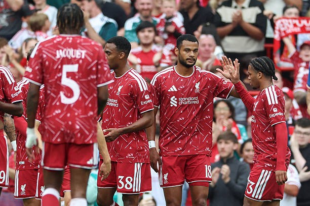 Gakpo là một mục tiêu của Liverpool. Ảnh: Getty Images.