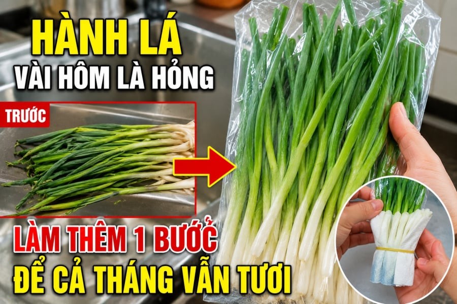 Hành lá vài hôm là hỏng, làm thêm 1 bước để cả tháng vẫn tươi