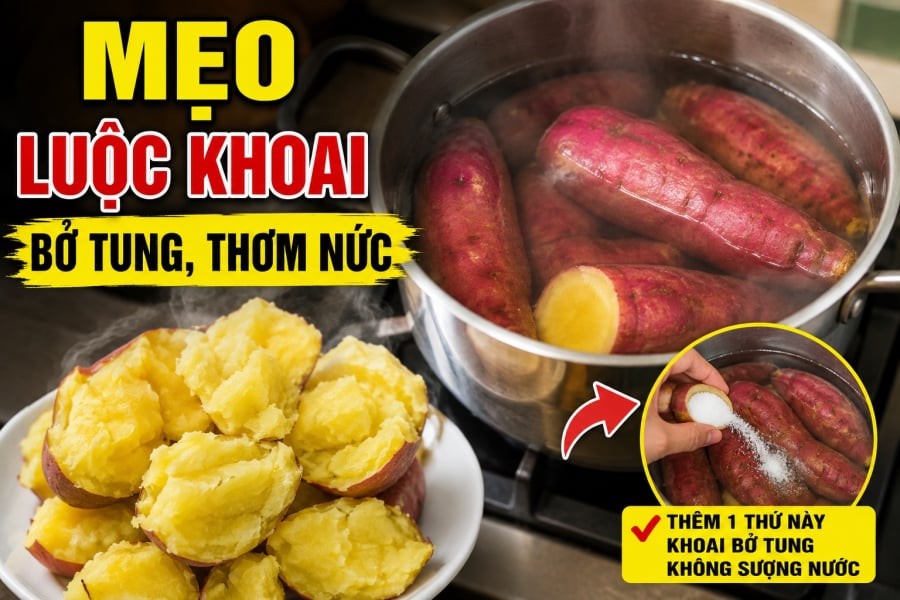 Khoai lang luộc là món ăn dân dã nhưng để luộc được củ khoai bở tung, thơm nức, ngọt mềm từ trong ra ngoài lại không đơn giản như cứ cho khoai vào nồi rồi đổ nước lên luộc. 