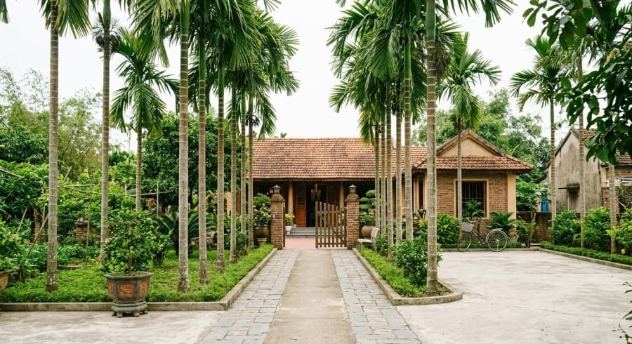Cây cau thân thanh, tán gọn giúp không gian trước nhà thêm xanh mát mà vẫn giữ được sự thông thoáng.