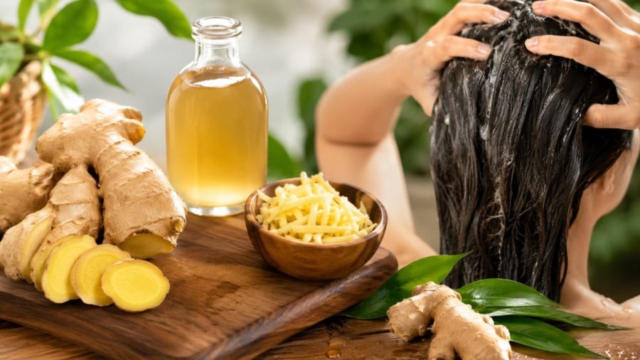 Nhiều người mách nhau dùng gừng tươi để gội đầu