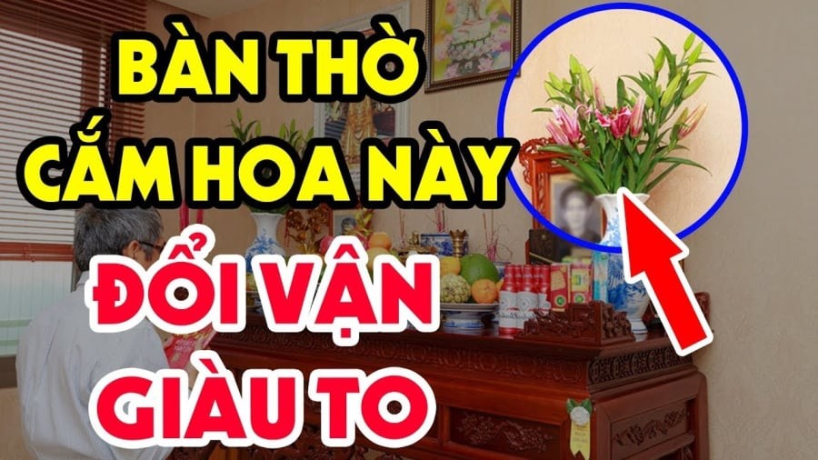 hoa