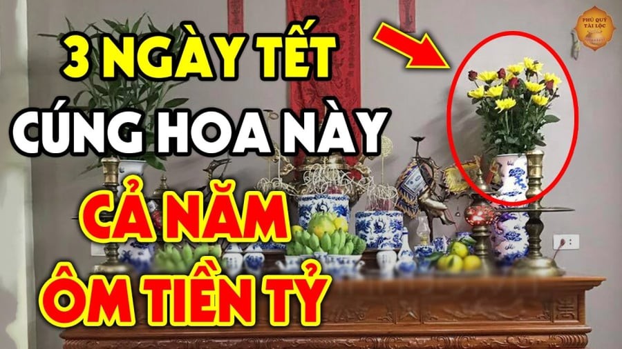 hoa cung