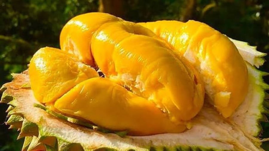 Ai không nên ăn sầu riêng?
