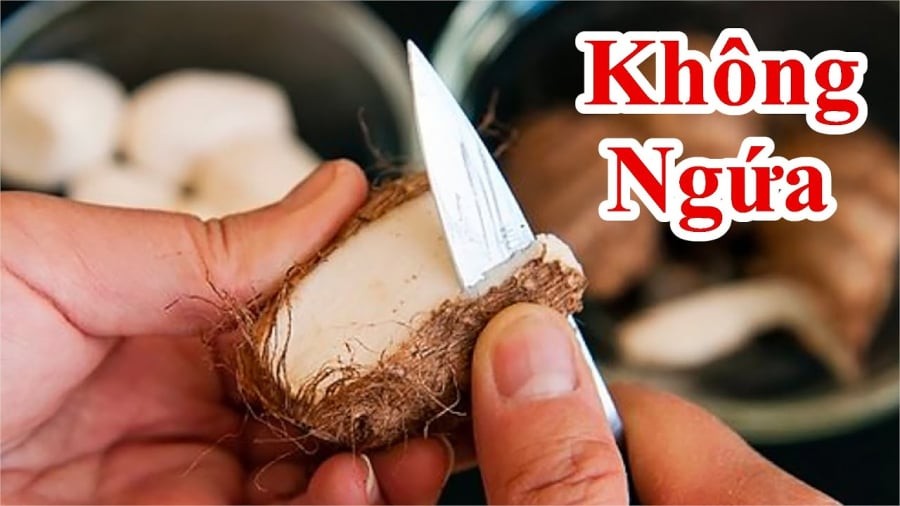 Khoai sọ có vị bùi, dẻo và thơm, thích hợp để nấu canh, hầm xương hoặc chế biến thành nhiều món ăn dân dã. 