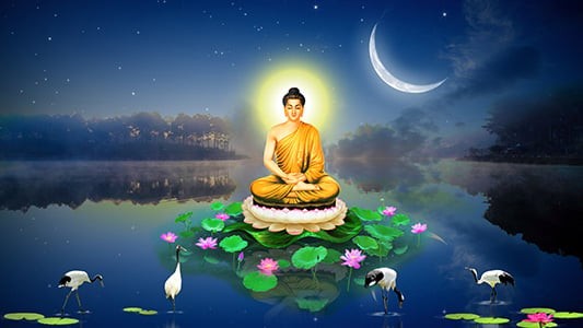 phuc