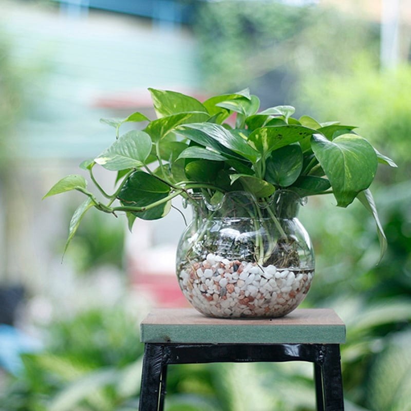Góc làm việc – biểu tượng cho sự phát triển và bền bỉ

