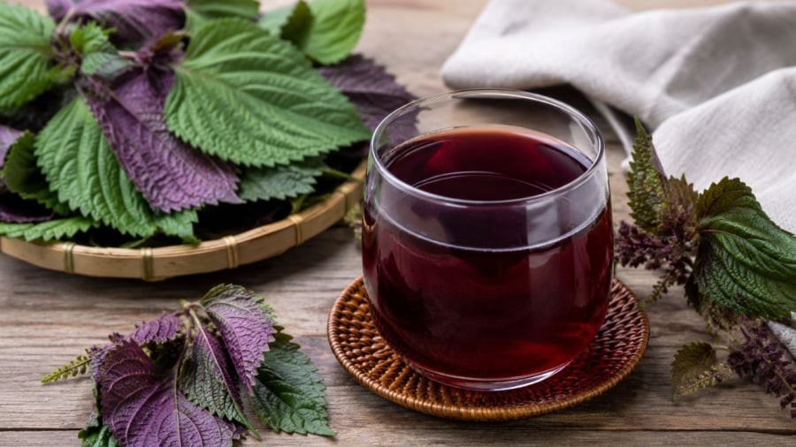 Cẩn thận với những sai lầm này khi uống nước tía tô
