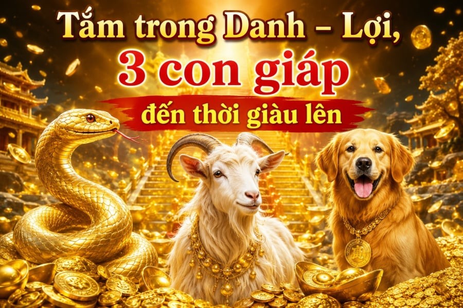 Theo quan niệm tử vi 12 con giáp, thời gian tới có 3 con giáp được xem là bước vào giai đoạn sáng cửa về cả Danh lẫn Lợi. 