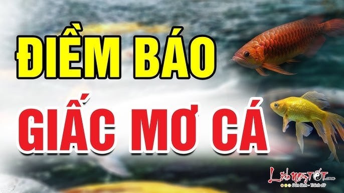 giac mo ca