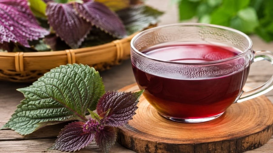 Có nên uống nước tía tô hàng ngày?