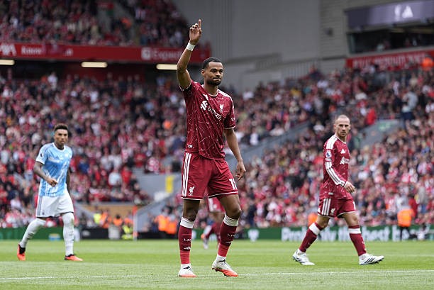 Gakpo khả năng cao sẽ gia nhập Man City. Ảnh: Peter Byrne/PA Images via Getty Images.