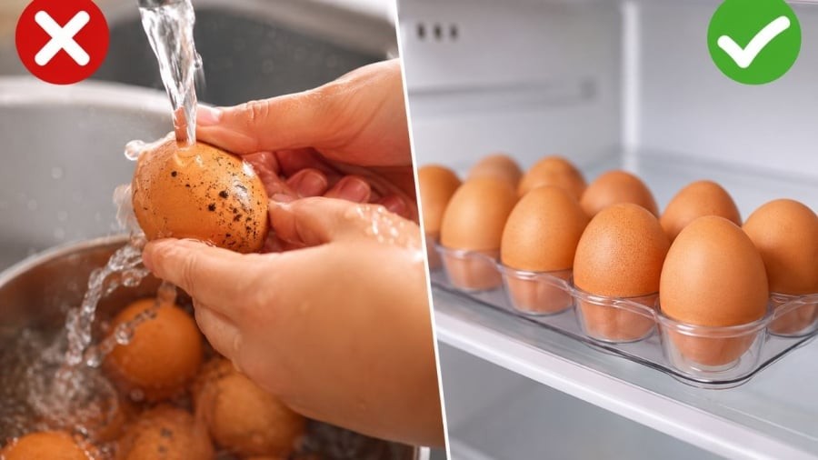Vì sao không nên rửa trứng trước khi cất trong tủ lạnh