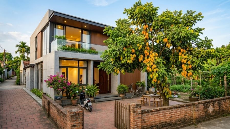 3 vị trí tốt nhất trồng cây Khế hút tài lộc, trấn giữ của cải