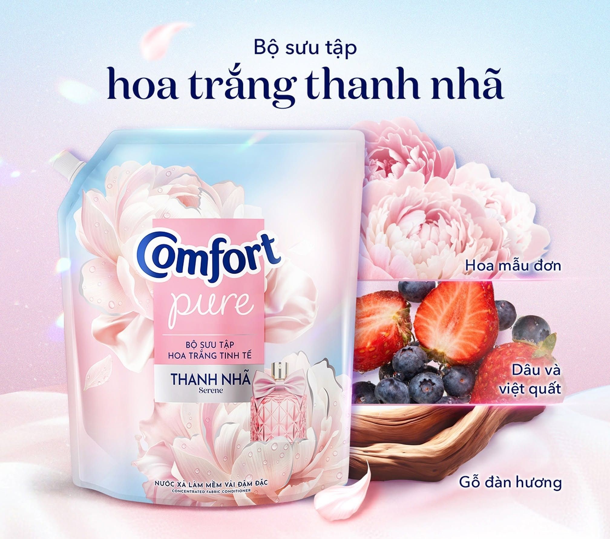 Comfort Pure - Ảnh 5.jpg
