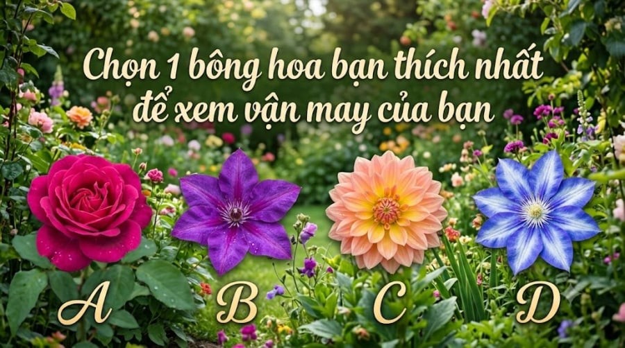 Bạn đã chọn xong chưa? Hãy kéo xuống để khám phá thông điệp dành riêng cho mình!