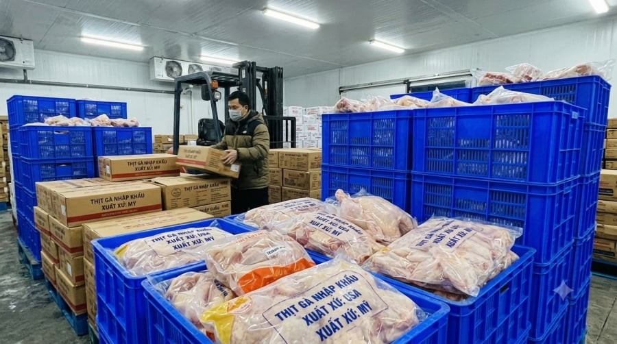 Thịt gà đông lạnh là một trong những mặt hàng gia cầm nhập khẩu chủ yếu vào Việt Nam.