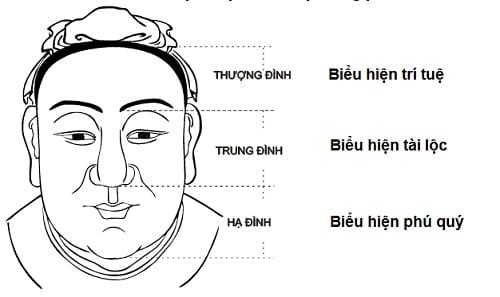 tuong giau