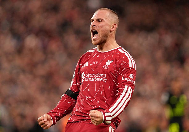 Alexis Mac Allister nằm trong tầm ngắm của Real Madrid. Ảnh:  Liverpool FC/Getty Images