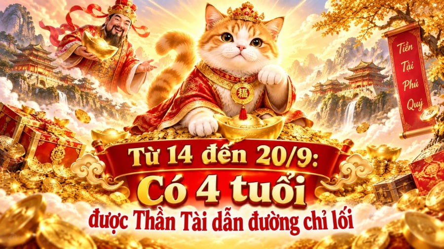 Bước sang tháng 8 Âm lịch, người tuổi Mão được dự báo có sự thay đổi khá rõ ràng về công việc. 