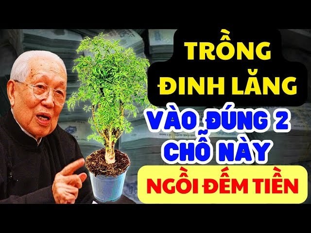 trong dinh lang