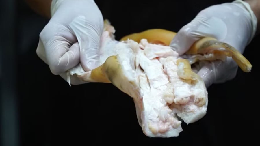 Vó bò chính là phần gân và da được lọc ra từ chân bò. 