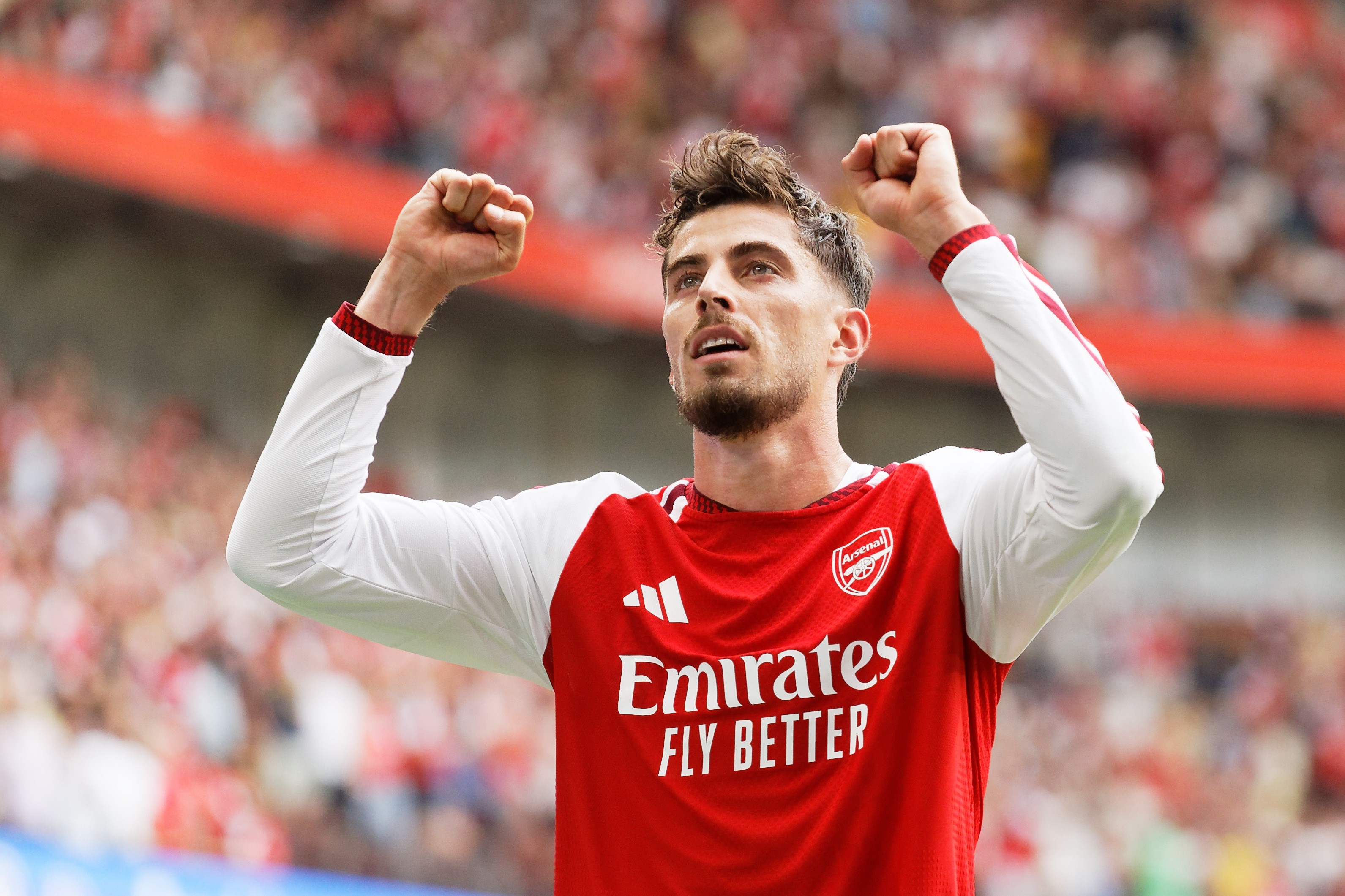Thế giới động vật giúp Havertz tìm lại cân bằng. (Ảnh: EPA Images)