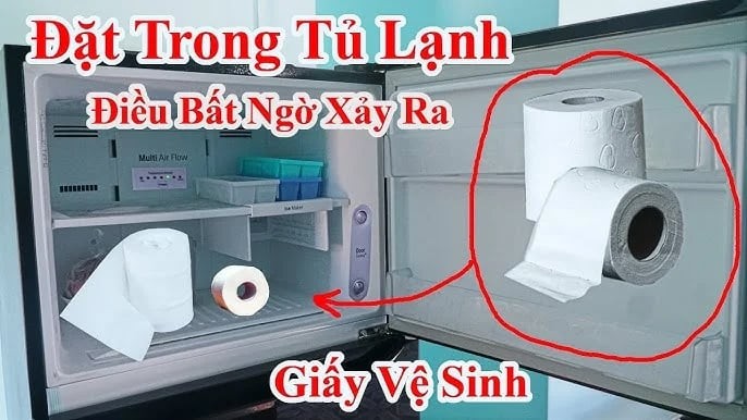 tu-lanh-