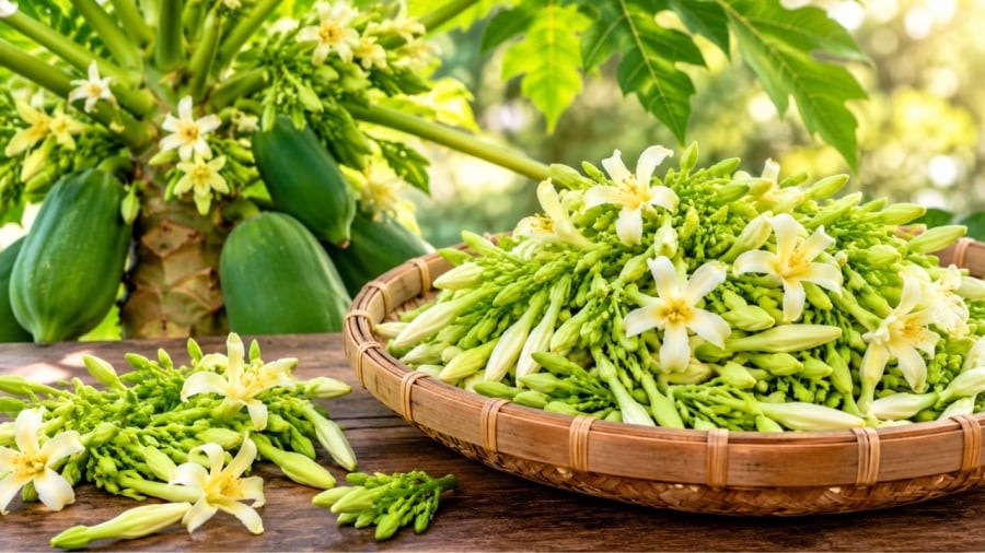 Hoa đu đủ đực nên cẩn trọng khi dùng
