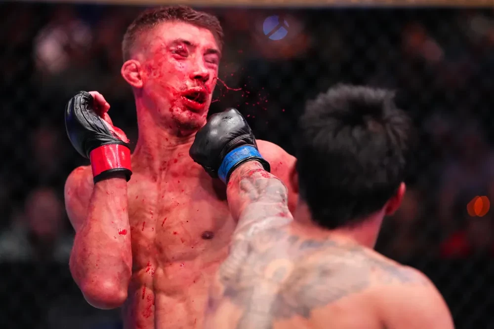 Piero Guaylupo đấm Callum Connor