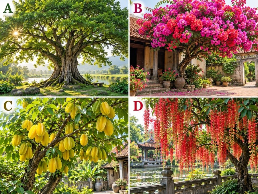Theo góc nhìn trắc nghiệm vui, lựa chọn này phần nào có thể phản ánh tính cách, cách bạn đối diện với cuộc sống và kiểu may mắn mà bạn dễ thu hút.