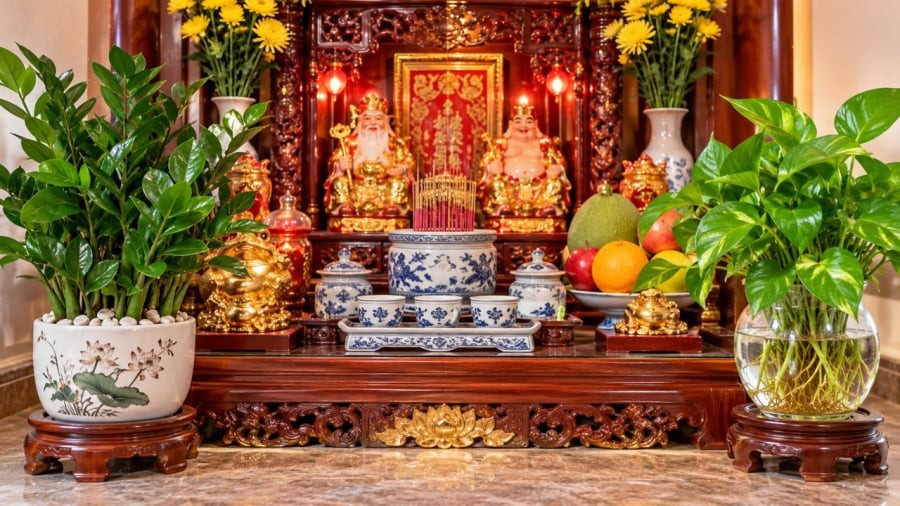 Bạn trồng cây thủy sinh hay trong chậu đất?