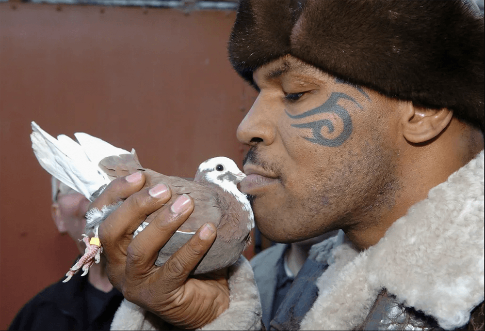 mike-tyson.jpg