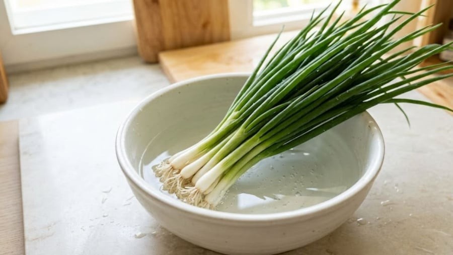 Trước khi bảo quản hành lá, bạn nên ngâm hành trong nước muối và nước baking soda pha loãng.