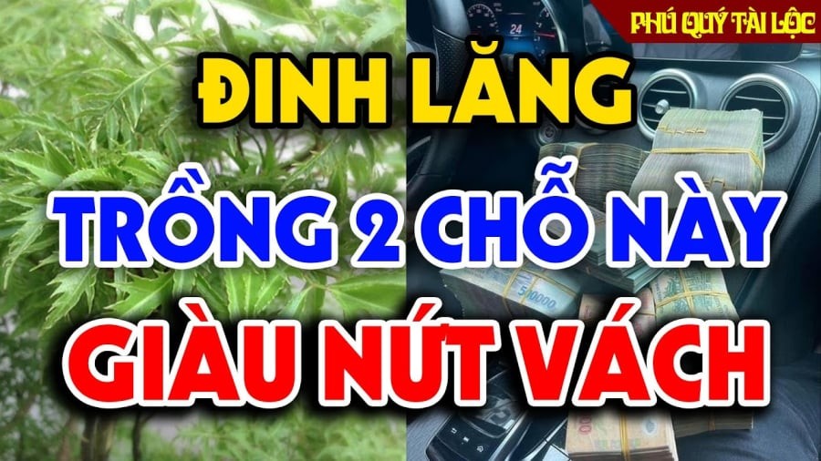 lang