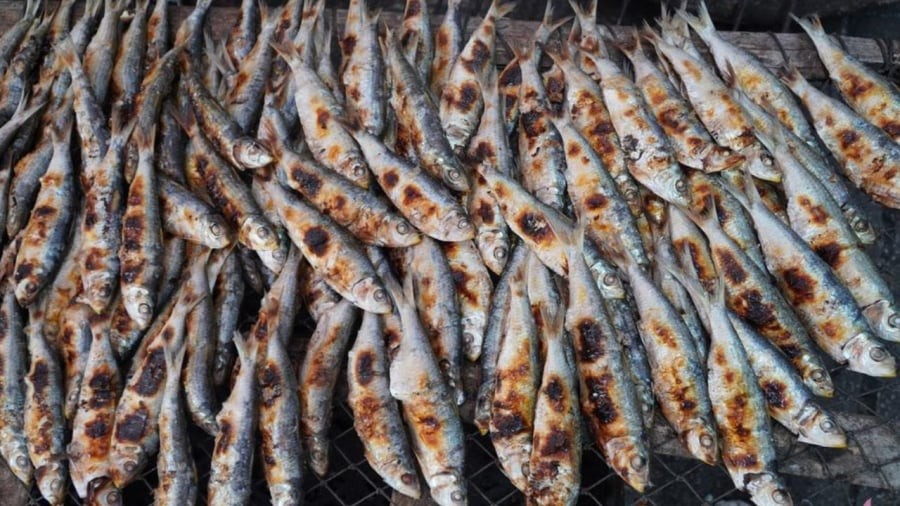 Nếu bạn đang tìm một loại cá giàu protein, axit béo omega-3 và vitamin D, cá trích là một trong những lựa chọn tuyệt vời. 