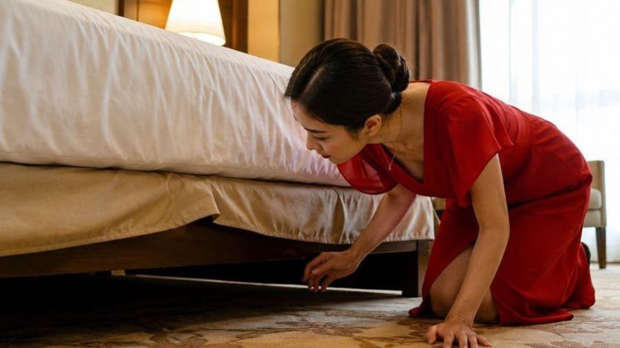 Tại sao bạn nên kiểm tra gậm giường ngay khi vào phòng khách sạn?