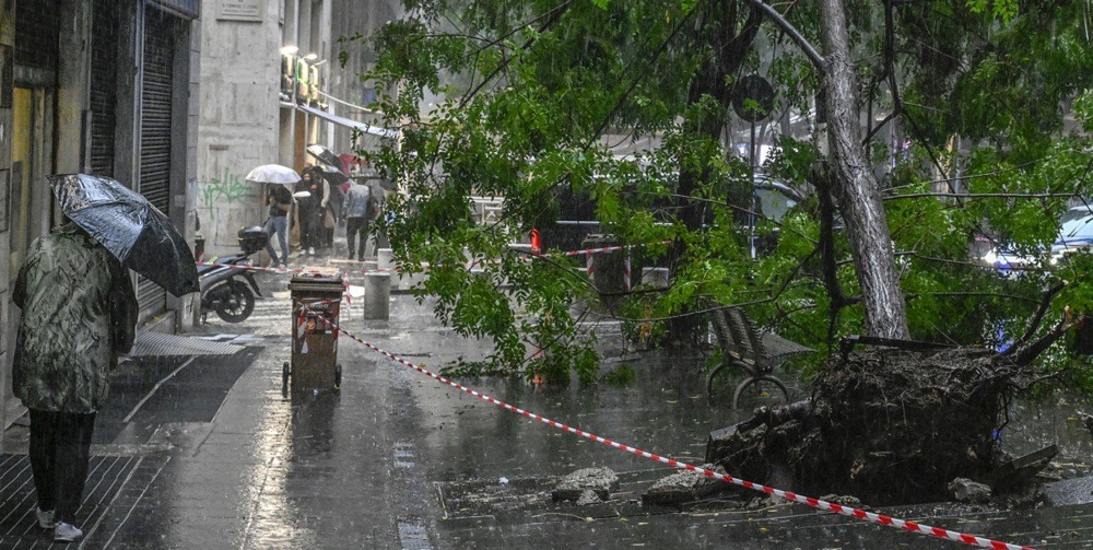 Bão quật đổ cây ở Italy hơn 10 ngày trước. Ảnh: EPA.