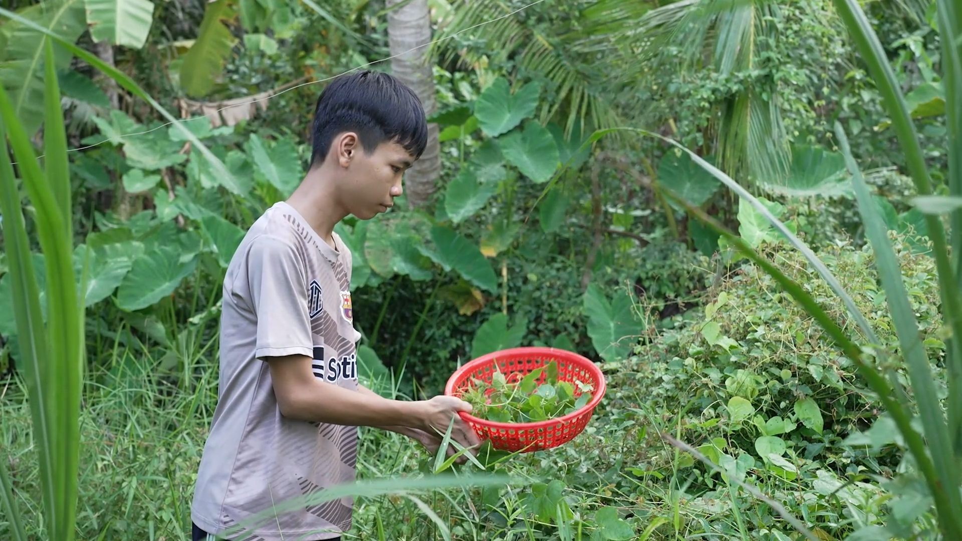 mai am gia dinh viet nguyen trong phuc (1).jpg