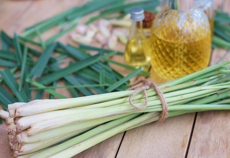 Đặt sả vào nhà vệ sinh