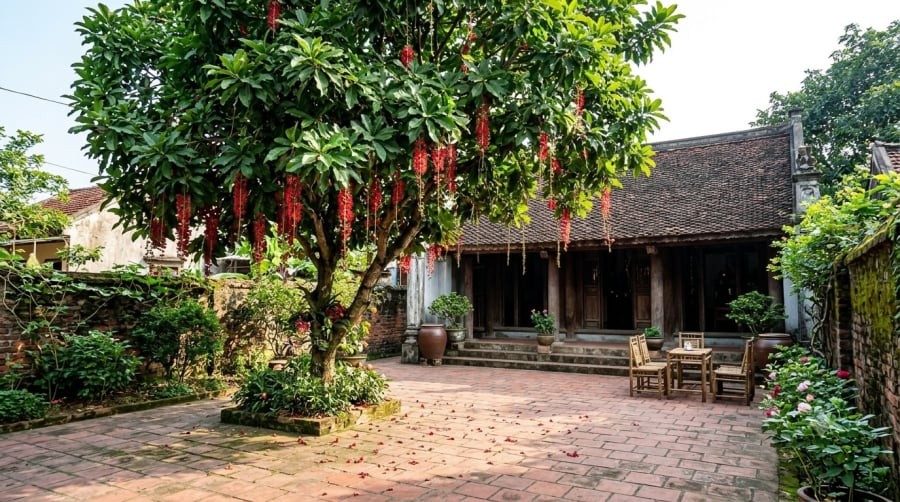 Lộc vừng được nhiều gia đình yêu thích nhờ dáng cây đẹp và ý nghĩa tài lộc, thịnh vượng theo quan niệm dân gian.