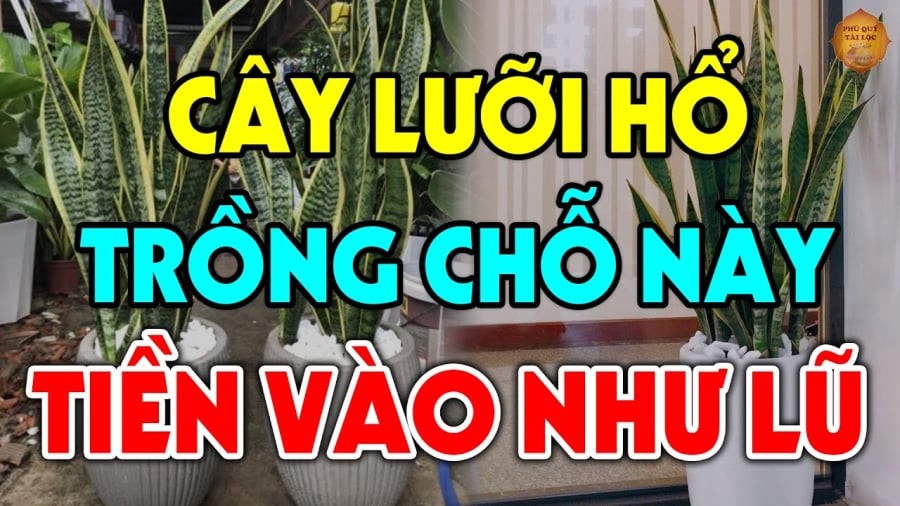 ho