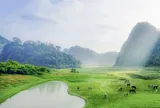 5 điểm đến "chữa lành" gần Hà Nội vừa tiết kiệm lại di chuyển nhanh, giúp du khách tận hưởng không gian xanh