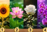 Chọn 1 bông hoa bạn thích nhất xem rào cản lớn nhất khiến bạn chưa giàu