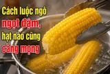 Cách luộc ngô ngọt đậm, hạt nào cũng căng mọng