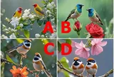 Trắc nghiệm: Chọn một bức tranh, biết ngay nửa kia có đáng để bạn gửi gắm cả đời hay không