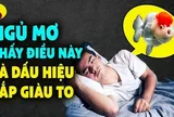 4 giấc mơ báo trước điềm lành: Ai mơ thấy thật đáng chúc mừng