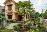 Có nên trồng cây đu đủ trước nhà? Giải mã ý nghĩa phong thủy và tài lộc ít người biết!