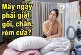 Mấy ngày phải giặt gối, chăn, rèm cửa?